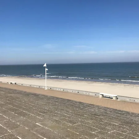 Duenenrose Am Nordstrand