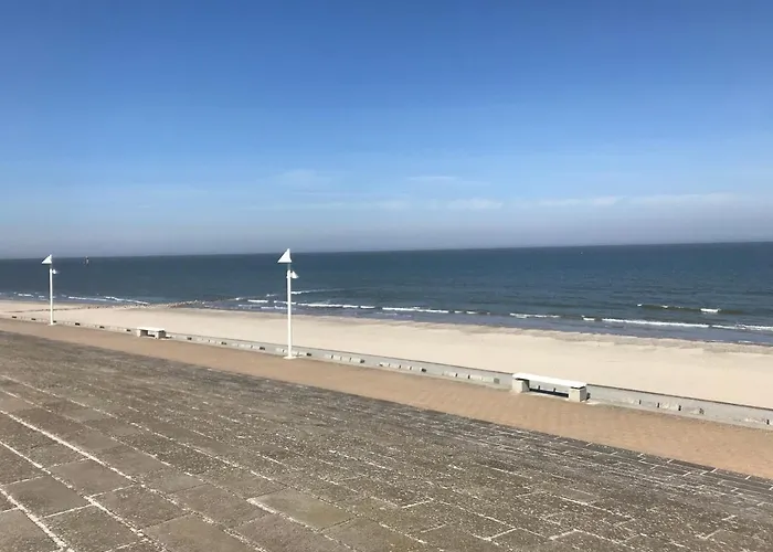 Duenenrose Am Nordstrand